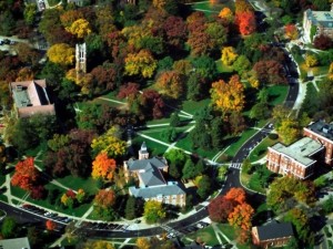 College Profile: Michigan State University