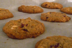 Cranberry Hootycreeks are delicious cookies. They are especially great for the winter season!