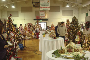 Festival of Trees lights up cancer research