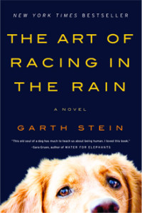 ‘The Art of Racing in the Rain’ surpasses expectations
