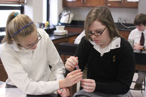 Junior Rebecca Driver and senior Alyssa Goheen experiment with DNA and E. Coli in AP Biology.  Science Department Chair Rebecca Jansing-Kaestner hopes that giving students the option to graduate with a distinction in science will encourage students to have more hands-on activities such as this.