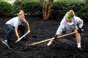 Mulch Madness returns for campus spring cleaning
