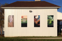 Artist Spotlight: Junior brightens Emmorton Rec. Center with refreshing mural