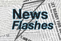 News Flashes: academic awards, Scouts awards, trees cut down and replaced