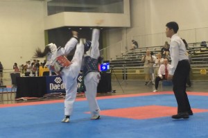 Sophomore wins gold in national taekwondo championships