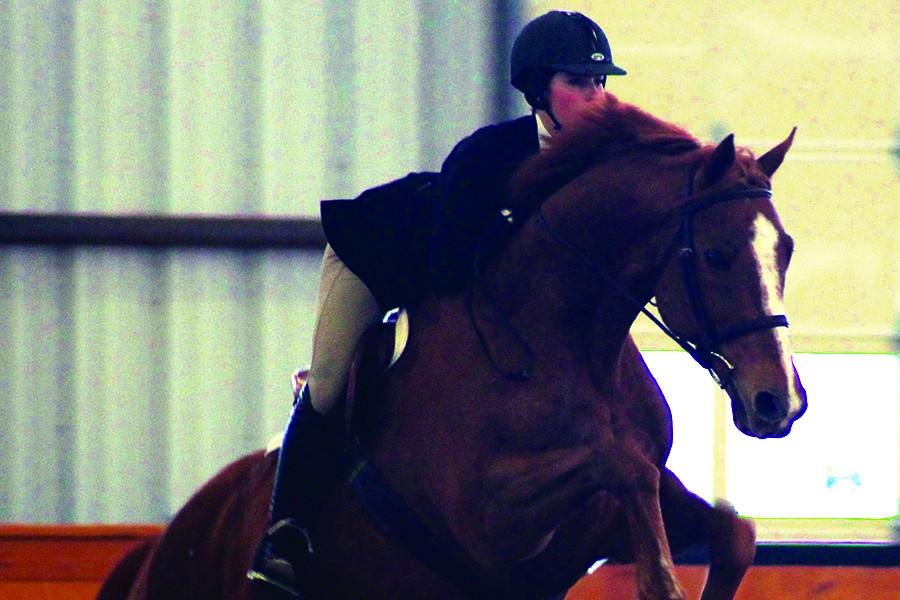 Sophomore Selina Petronelli and her horse, Parker, clear a hurdle at a competition. Petronelli has been captain of the equestrian team since freshman year. 