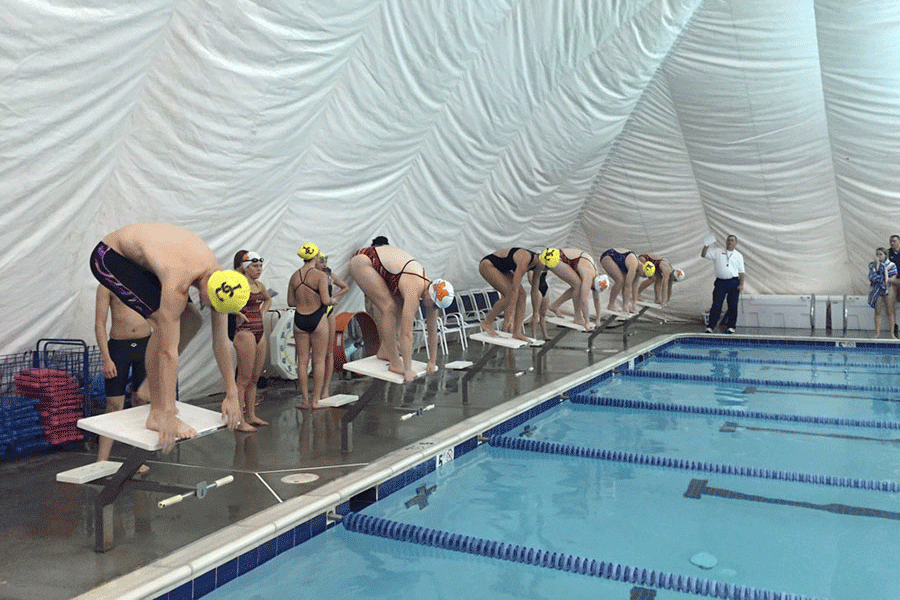 Swimmers step onto the block, about to dive into the water. The mens swimming team failed to win a meet this season.