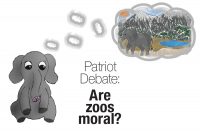 Patriot Debate: Are zoos moral?