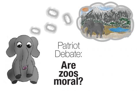Patriot Debate: Are zoos moral?