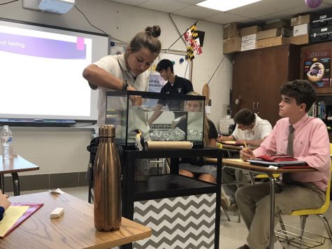 Senior Ellee Perri places pennies on top of a tinfoil boat during a Marine Biology class experiment on Friday, Sept. 1. After each student designed a boat, the ships were tested for buoyancy.