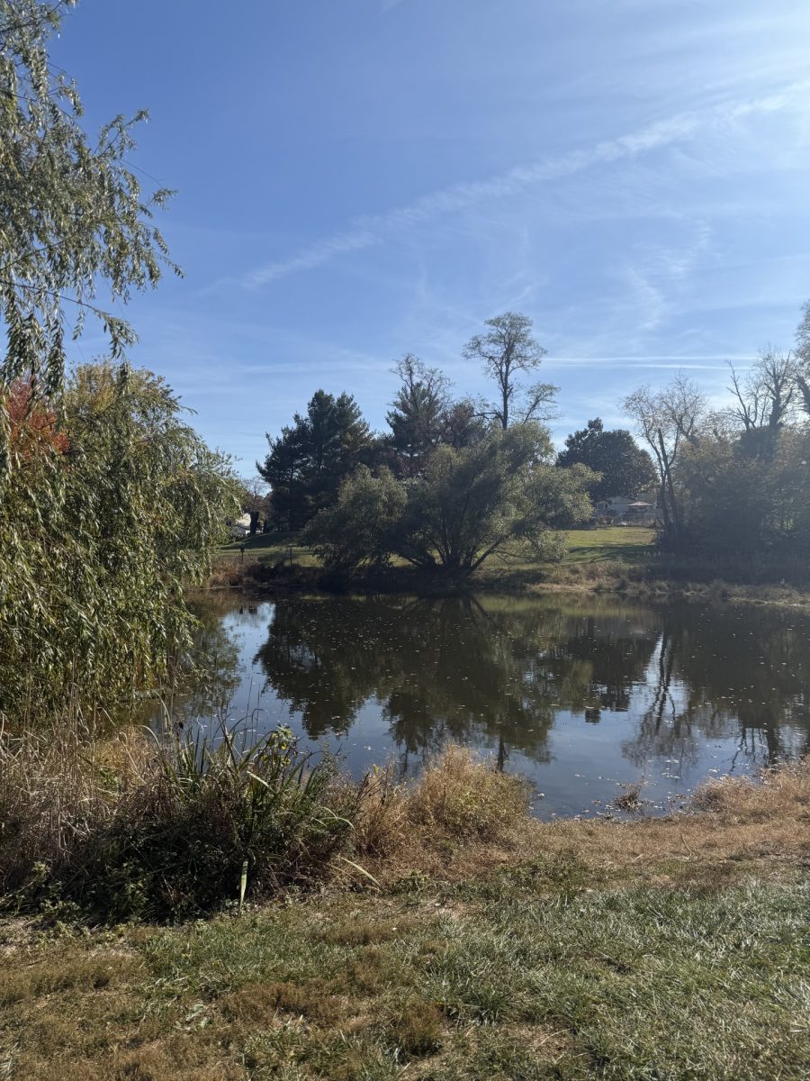 Pond continues recovery after sudden drainage